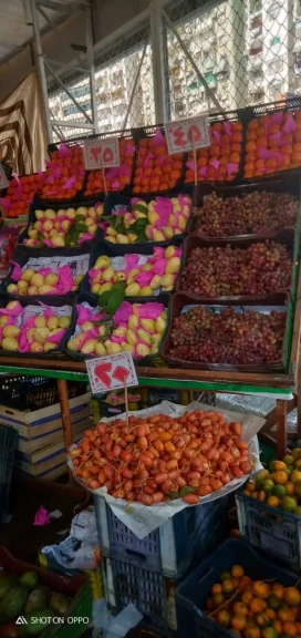 معرض للسلع الغذائيه