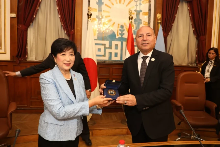 محافظ القاهره