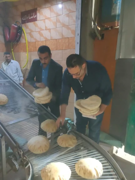 محافظ الدقهليه