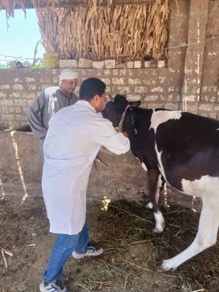 تحصين الماشيه