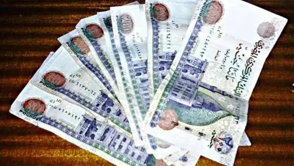 منحه العماله الغير منتظمه