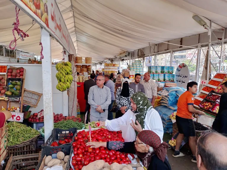 محافظ الدقهلية