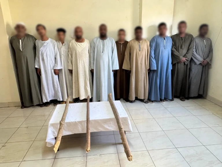 أجهزة الأمن - الاقصر