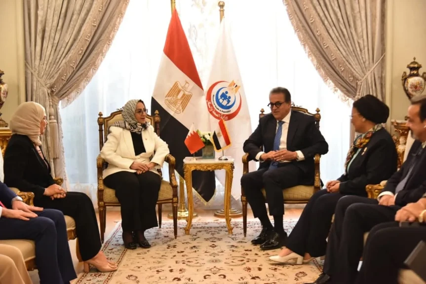 نائب رئيس مجلس الوزراء