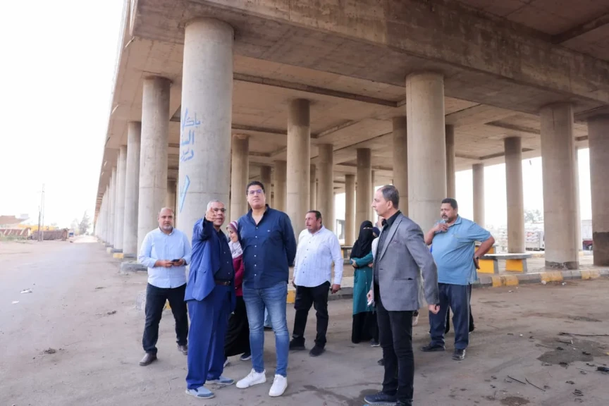 محافظ الدقهلية