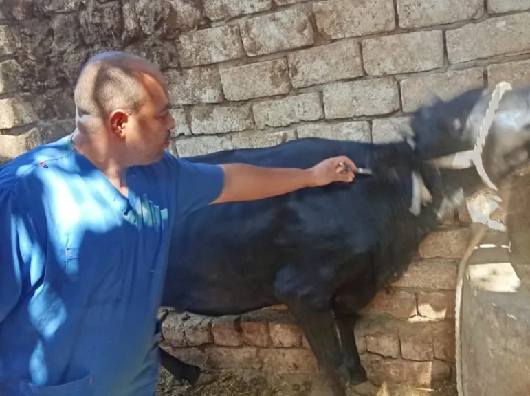 اثناء التطعيم