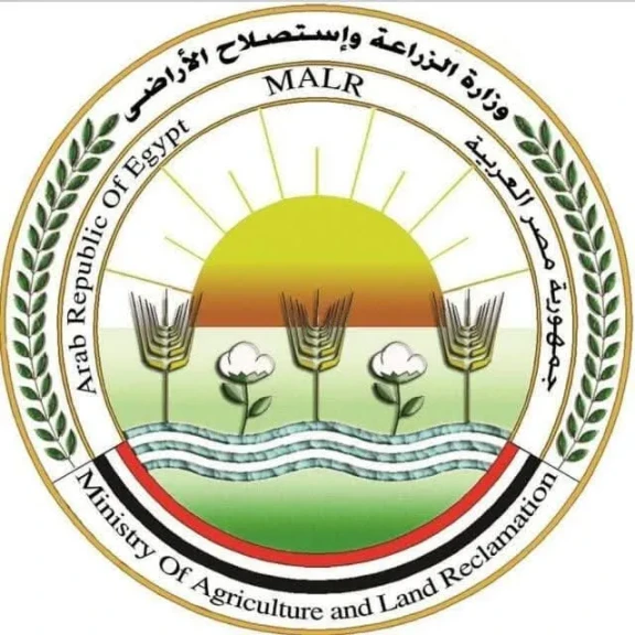 ”الزراعة” تعلن بدء الموسم التصديري الجديد لمحصول البرتقال المصري منتصف ديسمبر المقبل