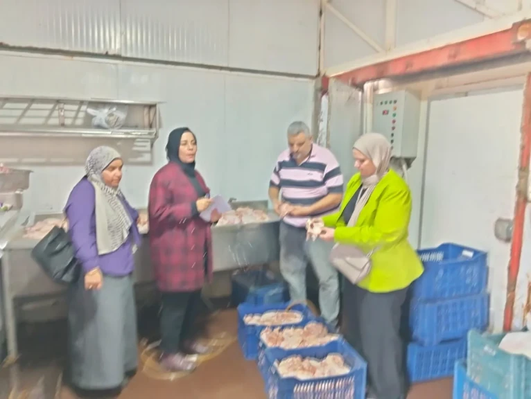محافظ الدقهلية : ضبط 5.4 طن دجاج وشاورما غير صالحة للاستهلاك