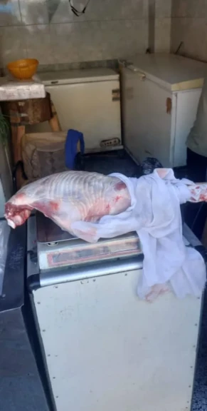 محافظ أسيوط : استمرار الحملات التموينية على المخابز والأسواق بالقوصية لضبط الأسواق وحماية المستهلك