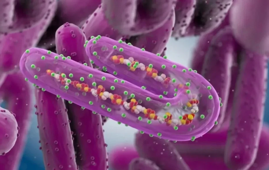 حسام عبد الغفار: لا يوجد فيروس مجهول أو عالي الخطورة في مصر