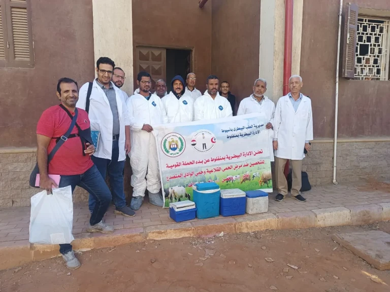 محافظ أسيوط: تحصين 94,406 رأس ماشية عبر 1,288 فرقة بيطرية خلال 4 أسابيع من الحملة القومية الثالثة