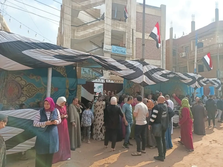 تزايد أعداد الناخبين في ثاني أيام التصويت بلجان مجلس النواب بالغربية ..صور