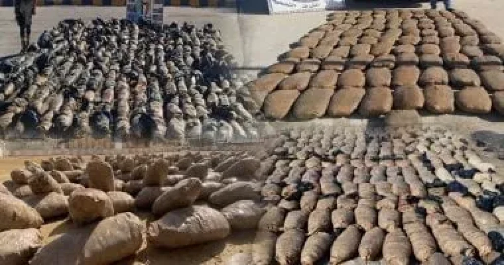 ضبط شحنة مخدرات «طن حشيش» فى الرمل بمحافظة الإسكندرية