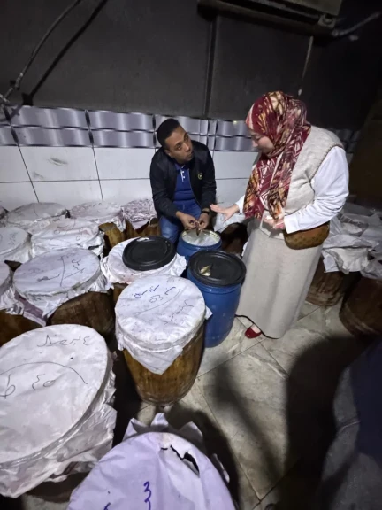 محافظ الدقهلية: ضبط مخزن أسماك مملحة فاسدة يحوي 5.5 طن غير صالحة للأستخدام الأدمى وتشكل خطراً على الصحة العامة