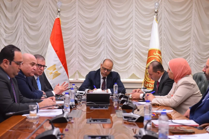 وزير العمل يبحث مع قيادات الهيئة القومية للتأمينات الاجتماعية تعزيز التعاون في ملفات الحماية الاجتماعية وتوسيع مظلة التأمين للعاملين