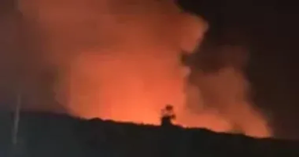 حريق الغابة الشجرية بالغردقة.. والحماية المدنية تحاول السيطرة