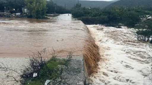 شئون عالمية