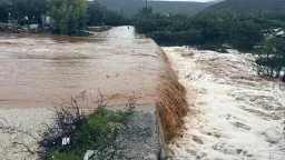 شئون عالمية