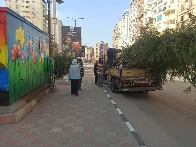 محافظ الدقهلية : استمرار زراعة الأشجار في المرحلة الرابعة من مبادرة ”100 مليون شجرة”