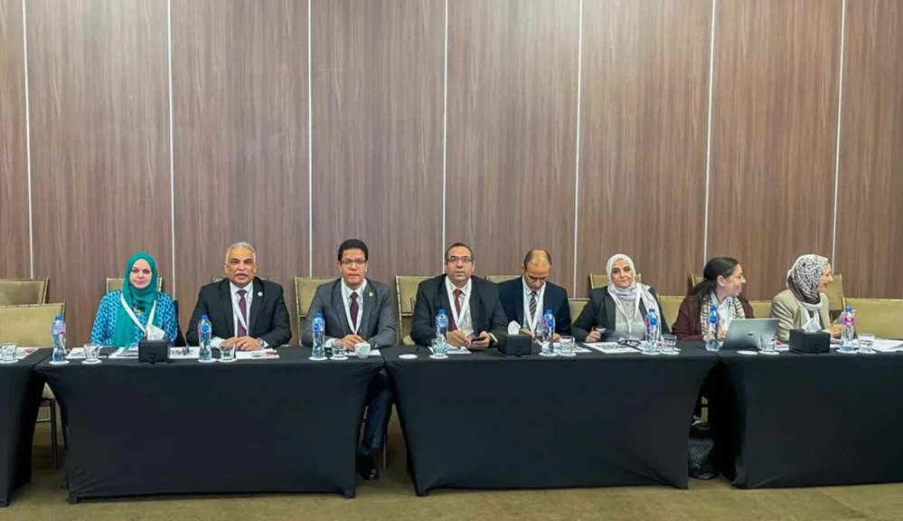 رئيس جامعة طنطا يشارك في ورشة عمل بعنوان ”التعليم العابر للحدود”