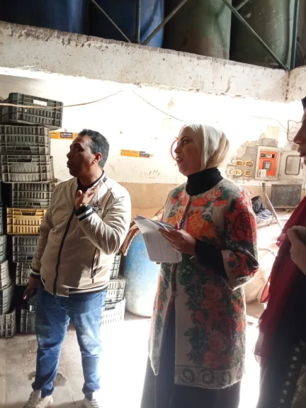 محافظ الدقهلية : ضبط 1.6 طن لحوم وأسماك في حملات مكثفة للرقابة على المنتجات الغذائية والأسواق