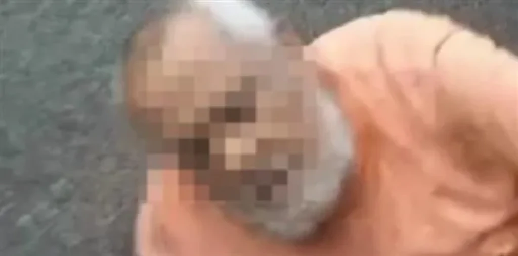 تأجيل محاكمة المتهم بالتعدى على طلاب مدرسة شهيرة بالإسكندرية