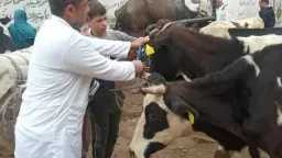 الصحة والجمال ( المرآة )