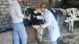 الصحة والجمال ( المرآة )