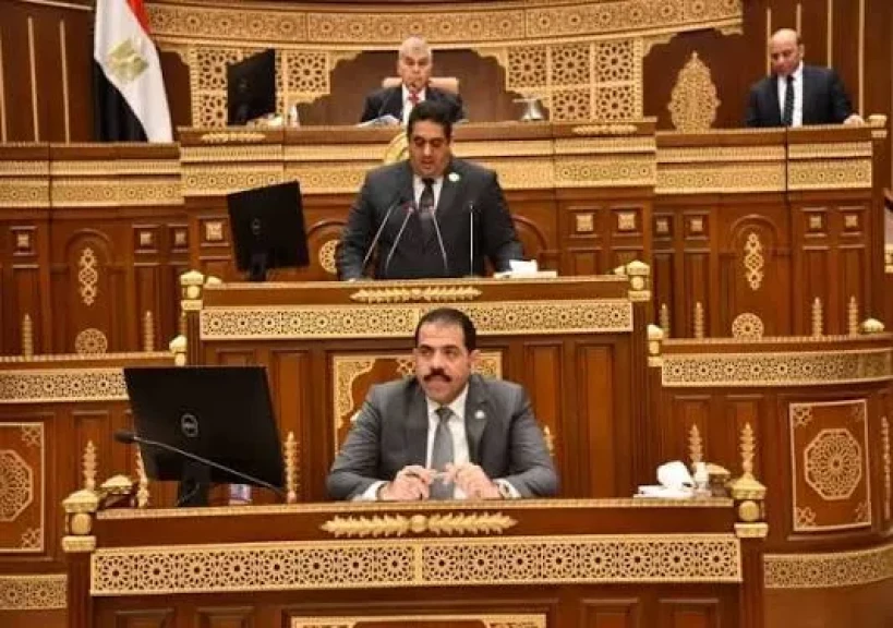 برلماني يطالب بغلق فيسبوك وحظر تيك توك لحماية الصغار من مخاطر السوشيال ميديا