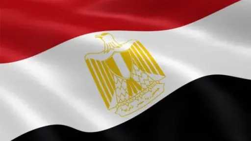 شئون عالمية