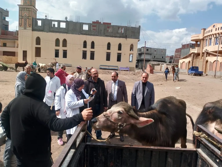 محافظ الدقهلية يتابع جهود الطب البيطري في قافلة علاجية مجانية بقرية تلبانة ضمن “حياة كريمة”