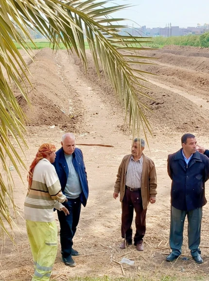 محافظ أسيوط يشدد على المتابعة المستمرة للتخلص الآمن من المخلفات الزراعية وتعظيم الاستفادة منها