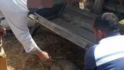 الصحة والجمال ( المرآة )