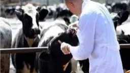 الصحة والجمال ( المرآة )