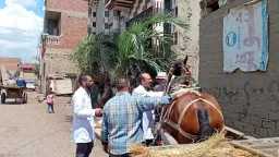 الصحة والجمال ( المرآة )