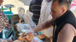 محافظ أسيوط : ضبط 850...