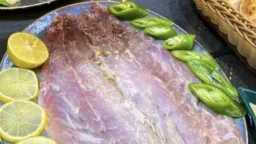 قضية راي عام TV