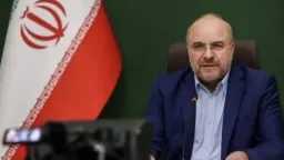 شئون عالمية