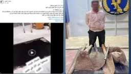 حوادث
