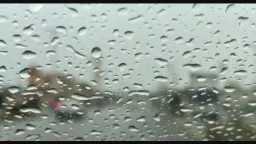 اخبار مصر