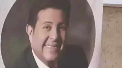 فن