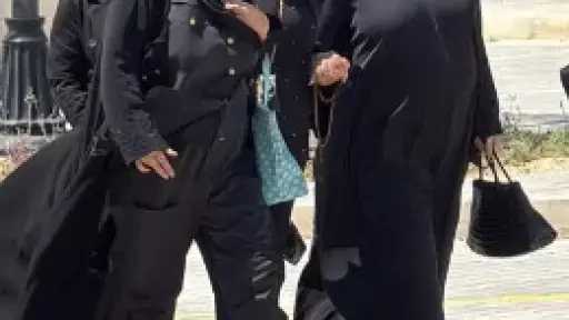 فن