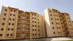 اخبار مصر