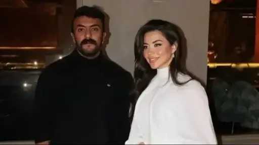 فن