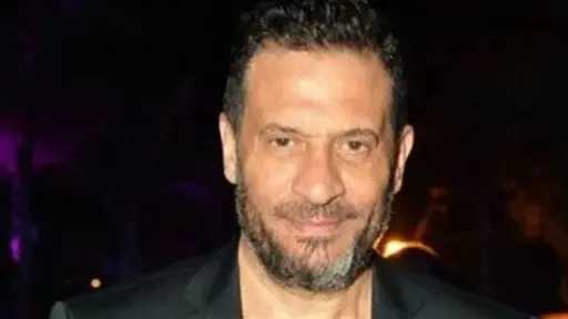 فن