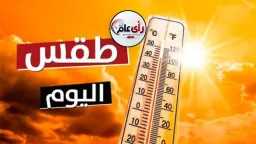 اخبار مصر