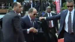 اخبار مصر