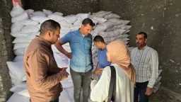 المحافظات
