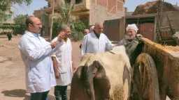 المحافظات