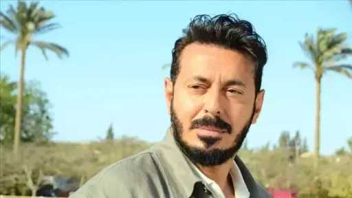 فن